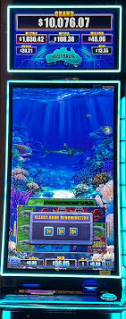 Free Spins Bonus - Lucky Tiger